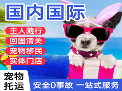 白云空运代理国际宠物托运 【国